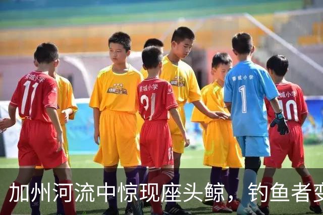 加州河流中惊现座头鲸，钓鱼者变成“鲸友”！